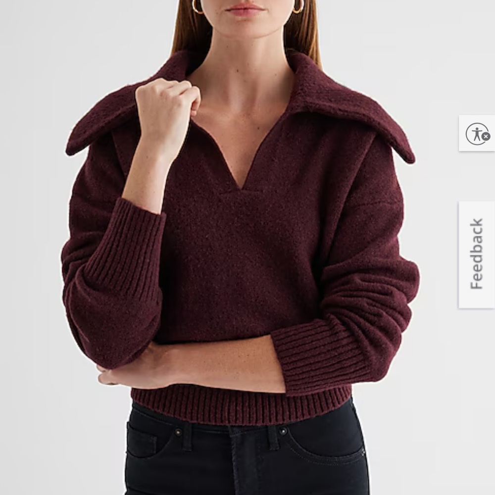 NWT Express V-Neck Long Sleeve Polo Sweater